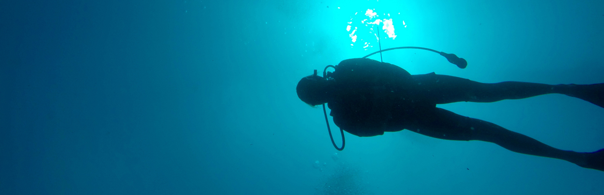 GFish Diver in Ocean off Carlisle Bay in Barbados viewed from beneath diver